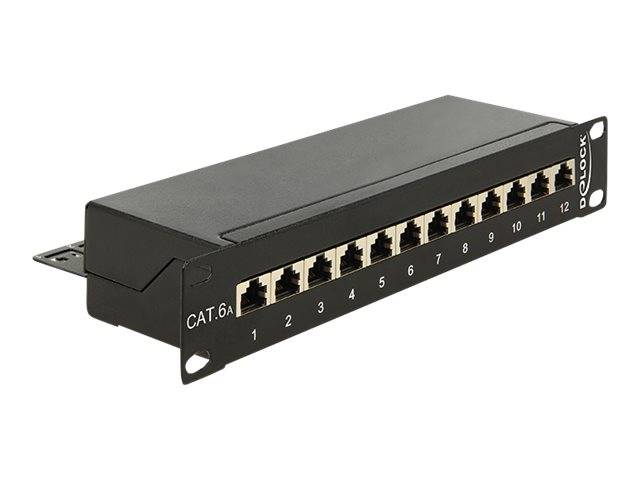 DeLOCK - Patch Panel - RJ-45 X 12 - Jet Black, RAL 9005 - 1U - 25.4 cm (10")