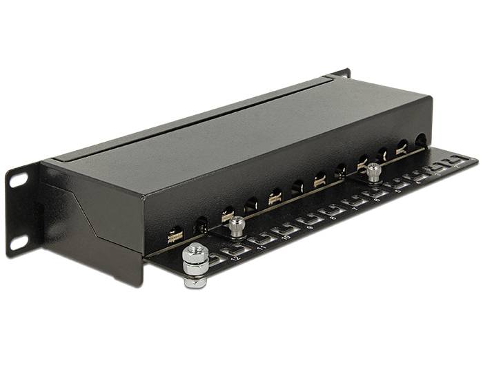 DeLOCK - Patch Panel - RJ-45 X 12 - Jet Black, RAL 9005 - 1U - 25.4 cm (10")