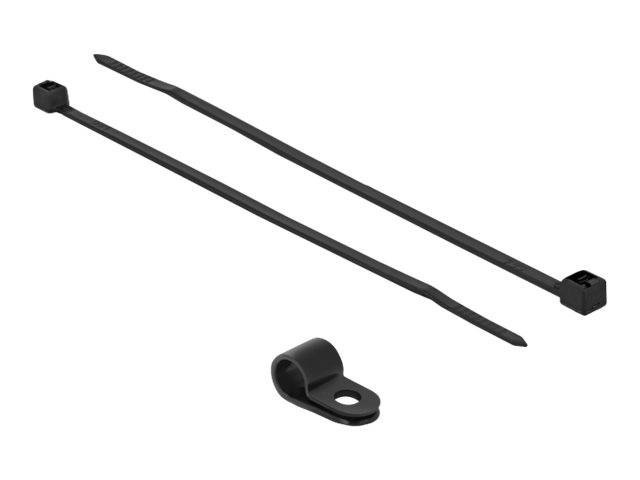 DeLOCK - Kabelbinder-Kit - 15 cm - Schwarz