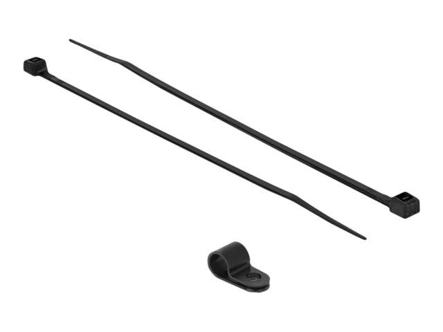 DeLOCK - Kabelbinder-Kit - 20 cm - Schwarz