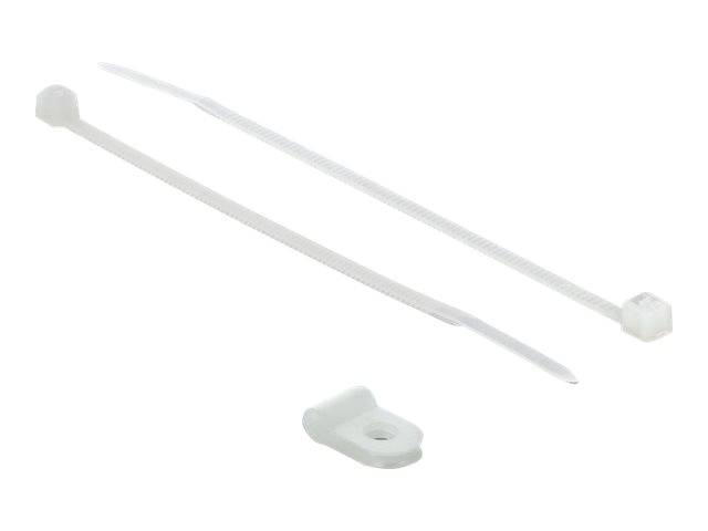 DeLOCK - Kabelbinder-Kit - 10 cm - weiß