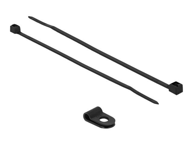 DeLOCK - Kabelbinder-Kit - 10 cm - Schwarz