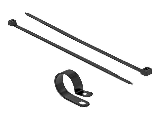 DeLOCK - Kabelbinder-Kit - 30 cm - Schwarz