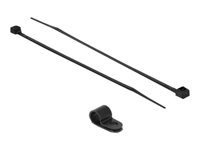 DeLOCK - Kabelbinder-Kit - 25 cm - Schwarz