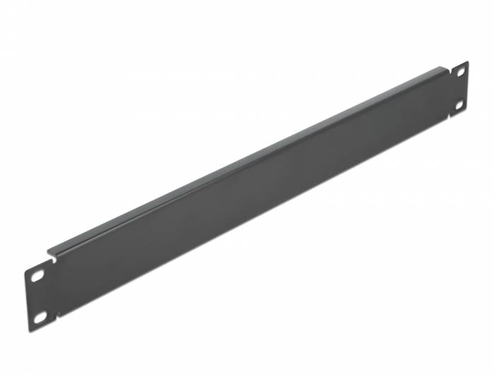 DeLOCK Network Cabinet Blind Cover - Rack-Blindabdeckungsplatte - Schwarz - 1U - 48.3 cm (19")
