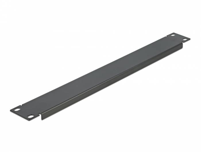 DeLOCK Network Cabinet Blind Cover - Rack-Blindabdeckungsplatte - Schwarz - 1U - 48.3 cm (19")