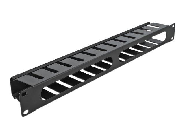 Delock - Kabelführungsplatte für Schaltschrank - Schwarz - 1U - 48.3 cm (19"")