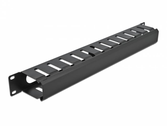 Delock - Kabelführungsplatte für Schaltschrank - Schwarz - 1U - 48.3 cm (19"")