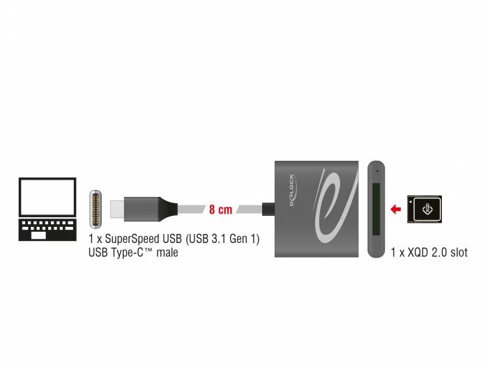 Delock - Kartenleser (XQD, XQD 2.0) - USB 3.1