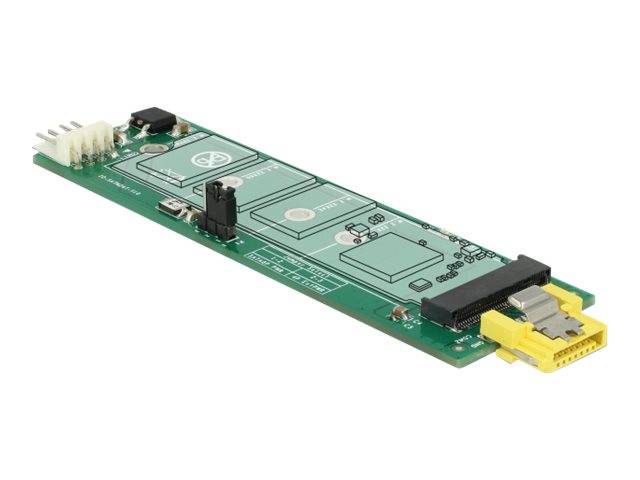 DeLOCK - Schnittstellenadapter - M.2 - M.2 Card