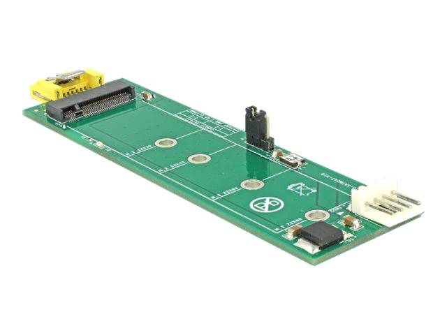 DeLOCK - Schnittstellenadapter - M.2 - M.2 Card