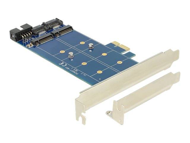DeLOCK PCI Express Card > 2 x internal M.2 NGFF