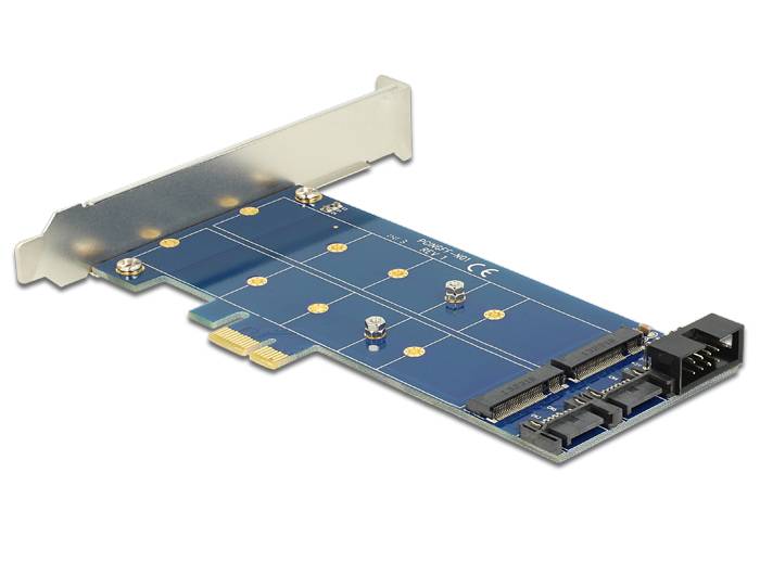 DeLOCK PCI Express Card > 2 x internal M.2 NGFF
