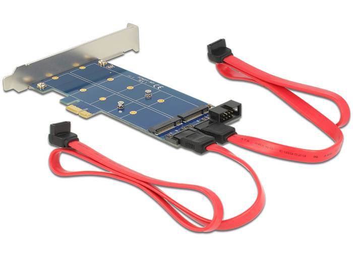 DeLOCK PCI Express Card > 2 x internal M.2 NGFF
