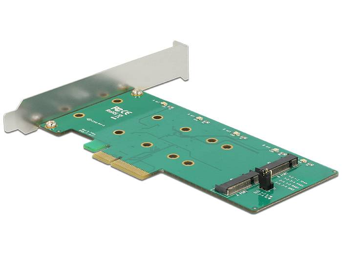 DeLOCK PCI Express Card > 2 x internal M.2 Key B with RAID