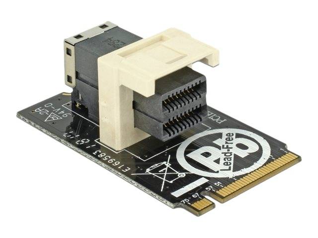 DeLOCK Adapter M.2 Key M > SFF-8643 NVMe horizontal 2242 - Schnittstellenadapter - 2.5" (6.4 cm)