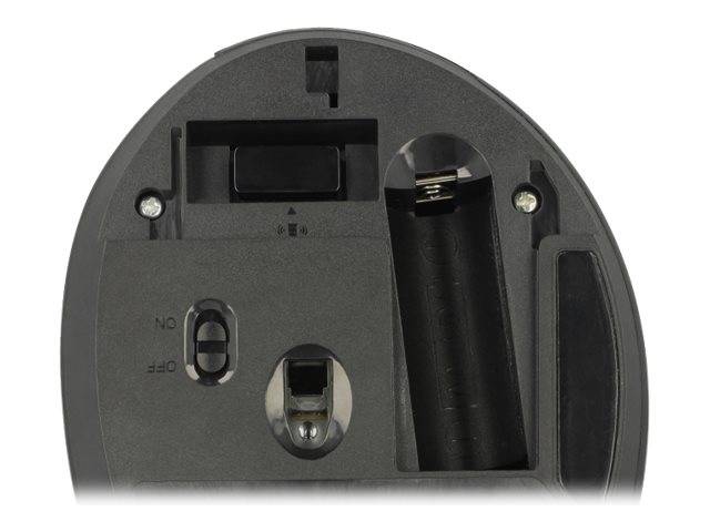 Delock Ergonomic - Vertikale Maus - ergonomisch - Für Rechtshänder - optisch - 6 Tasten - kabellos - 2.4 GHz - kabellose