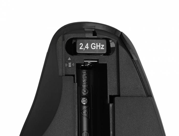 DeLOCK Ergonomic - Maus - ergonomisch - Für Rechtshänder - optisch - 3 Tasten - kabellos - 2.4 GHz - kabelloser Empfänger (USB)