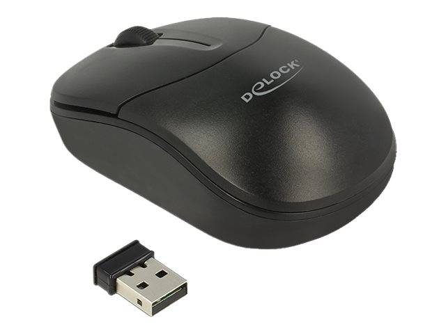 DeLOCK - Maus - rechts- und linkshändig - optisch - 3 Tasten - kabellos - 2.4 GHz - kabelloser Empfänger (USB)