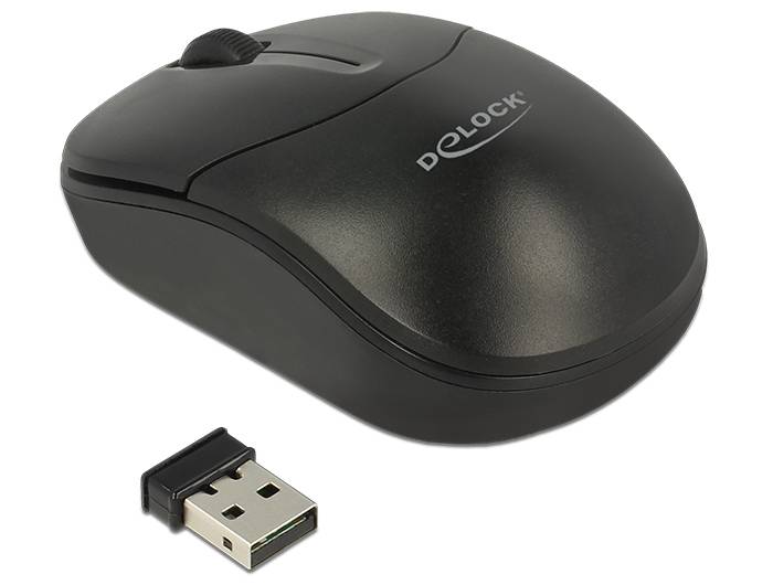 DeLOCK - Maus - rechts- und linkshändig - optisch - 3 Tasten - kabellos - 2.4 GHz - kabelloser Empfänger (USB)