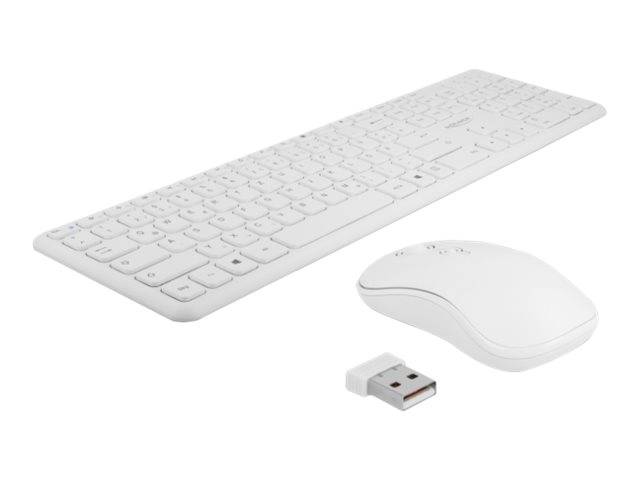 DeLOCK - Tastatur-und-Maus-Set - kabellos - 2.4 GHz