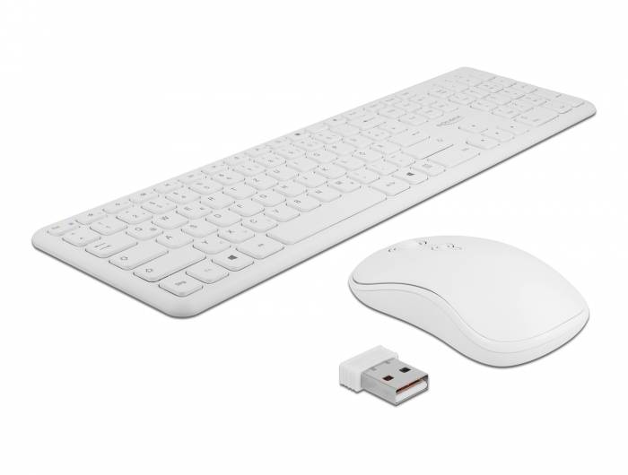 DeLOCK - Tastatur-und-Maus-Set - kabellos - 2.4 GHz