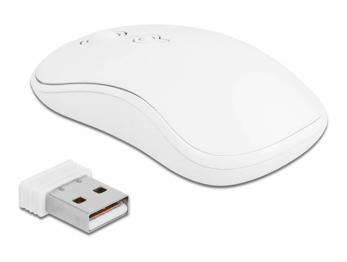 DeLOCK - Tastatur-und-Maus-Set - kabellos - 2.4 GHz