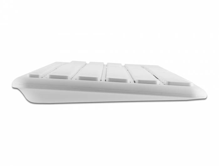 DeLOCK - Tastatur-und-Maus-Set - kabellos - 2.4 GHz