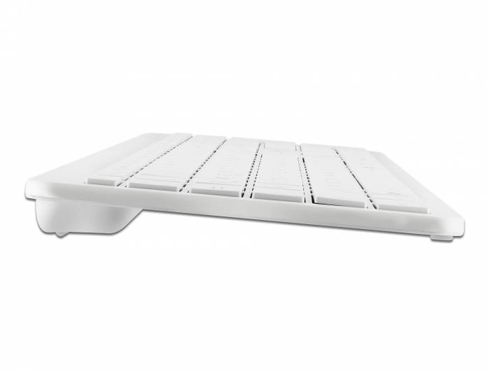 Delock - Tastatur - kabellos - 2.4 GHz - QWERTZ