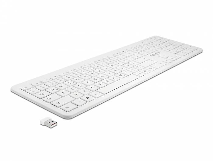 Delock - Tastatur - kabellos - 2.4 GHz - QWERTZ