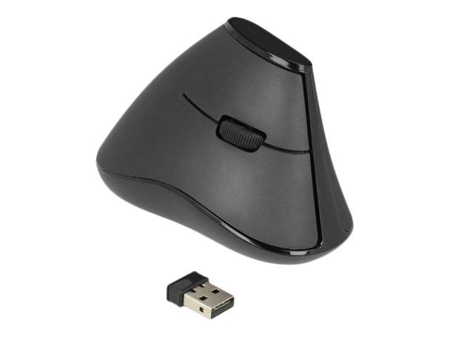Delock Ergonomic - Vertikale Maus - ergonomisch - Für Rechtshänder - optisch - 5 Tasten - kabellos - 2.4 GHz - kabellose