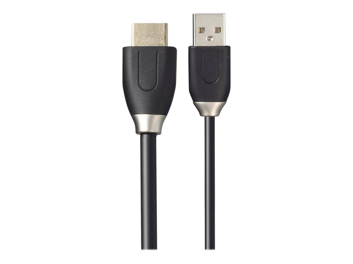 ViewSonic VB-WPS-003 Cast Button - Netzwerkmedien-Streaming-Adapter