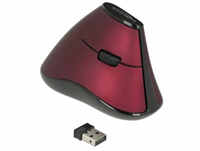 Delock - Vertikale Maus - ergonomisch - Für Rechtshänder - optisch - 5 Tasten - kabellos - 2.4 GHz - kabelloser Empfänge