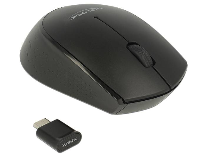 DeLOCK mini - Maus - rechts- und linkshändig - optisch - 3 Tasten - kabellos - 2.4 GHz - kabelloser Empfänger (USB)