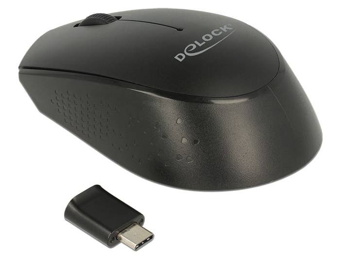 DeLOCK mini - Maus - rechts- und linkshändig - optisch - 3 Tasten - kabellos - 2.4 GHz - kabelloser Empfänger (USB)