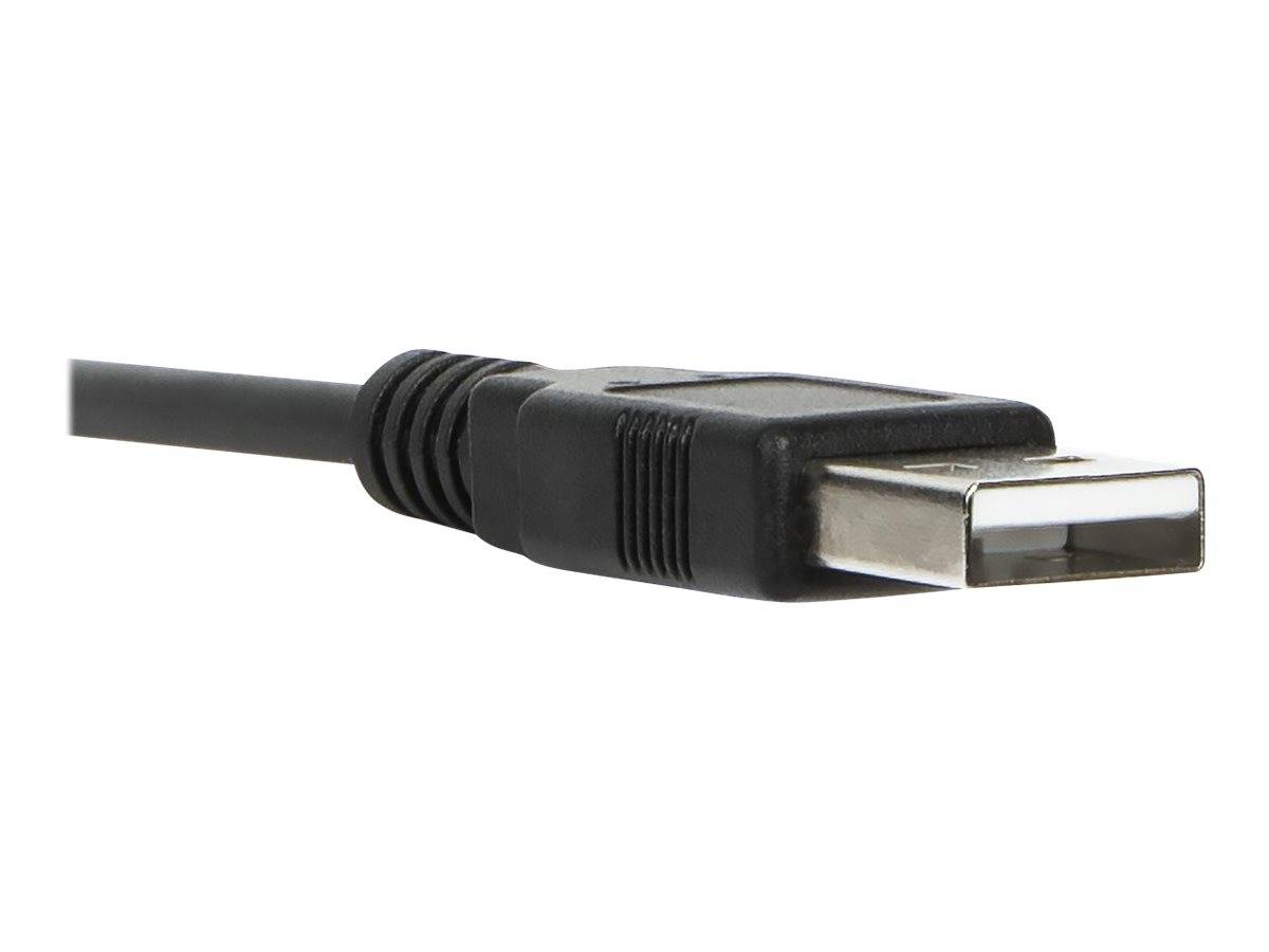 Nahaufnahme eines schwarzen USB-Kabelsteckers auf weißem Hintergrund, von der Seite gezeigt.