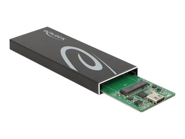 Delock - Speichergehäuse - M.2 - M.2 Card / SATA 6Gb/s - USB 3.2 (Gen 2)