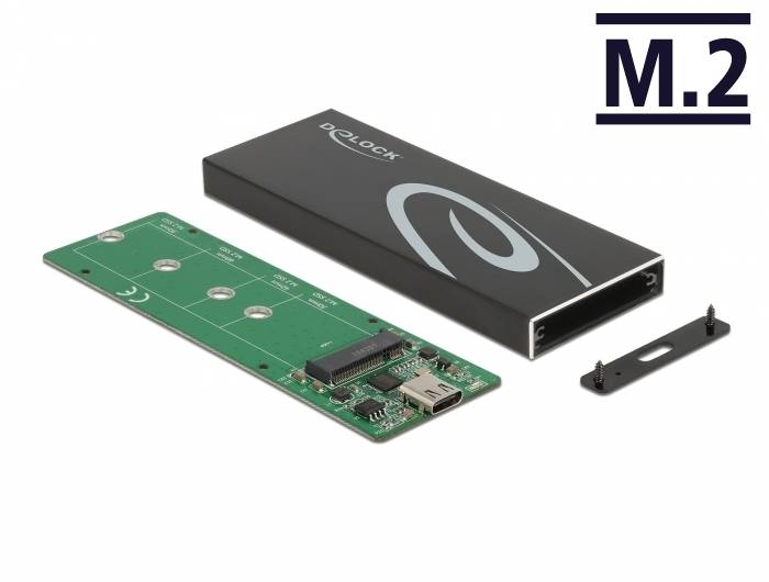 Delock - Speichergehäuse - M.2 - M.2 Card / SATA 6Gb/s - USB 3.2 (Gen 2)