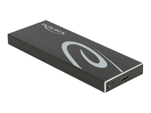 Delock - Speichergehäuse - M.2 - M.2 Card / SATA 6Gb/s - USB 3.2 (Gen 2)
