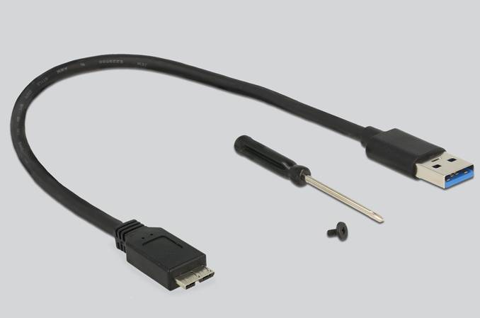 DeLOCK - Schnittstellenadapter - M.2 - USB 3.0