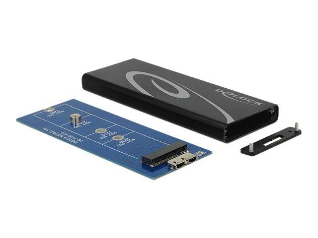 DeLOCK - Speichergehäuse - M.2 Card - 600 MBps - USB 3.1 (Gen 2)
