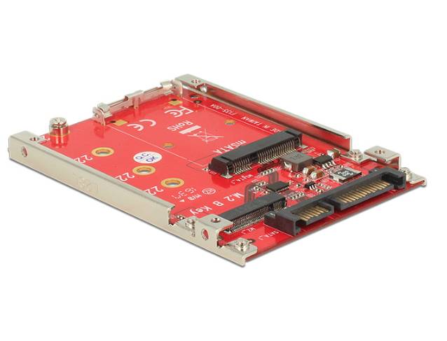 DeLOCK - Speicher-Controller - M.2 - M.2 Card / mSATA