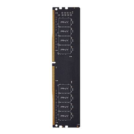 Ein langer schwarzer PNY-Computerspeichermodul mit acht Chips, vertikal auf weißem Hintergrund dargestellt.