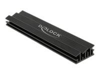 DeLOCK - Solid State Drive Kühlkörper - Schwarz
