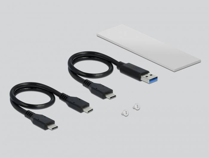 Delock - Speichergehäuse - M.2 NVMe Card - USB 3.2 (Gen 2)
