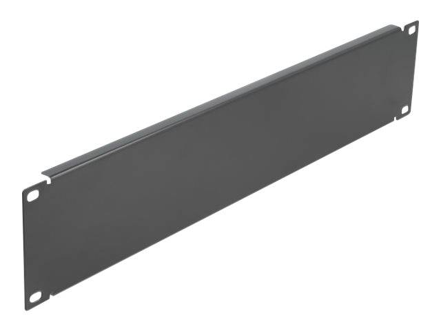 DeLOCK Network Cabinet Blind Cover - Rack-Blindabdeckungsplatte - Schwarz - 2U - 48.3 cm (19")
