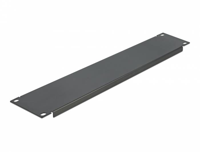 DeLOCK Network Cabinet Blind Cover - Rack-Blindabdeckungsplatte - Schwarz - 2U - 48.3 cm (19")