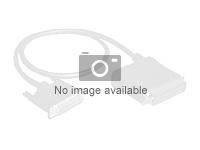 Intel OCuLink Cable Kit AXXCBL625CVCX - Internes SAS-Kabel - 4i MiniLink SAS (SFF-8611)