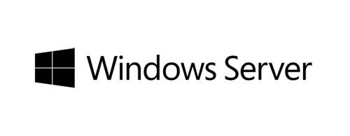 Microsoft Windows Server 2019 - Lizenz - 100 Benutzer-CALs