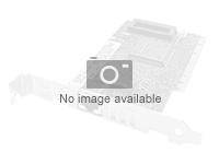 AS8627049000: Fujitsu Netzwerkadapter - 10Gb Ethernet x 2 - für ETERNUS DX 100 S